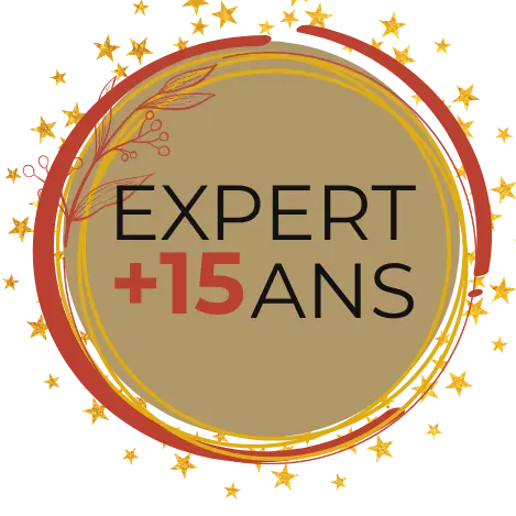 Expert voyance +15 ans